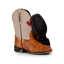 Bota Texana Masculina Canadá Escamada Bico Quadrado